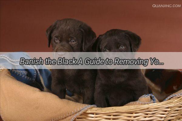 Banish the Black A Guide to Removing Your Dogs Root Stains for a Sparkling Smile